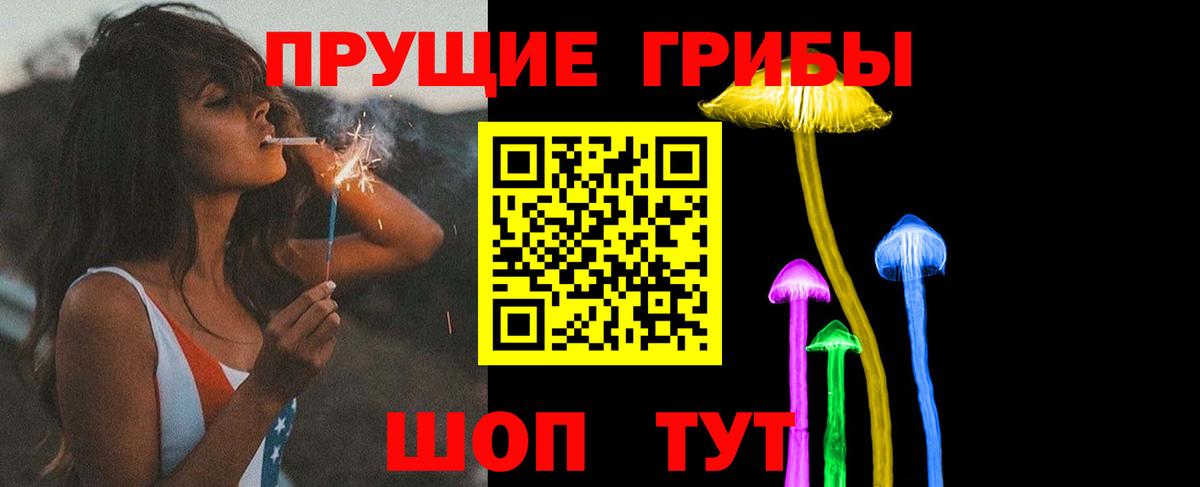 Псилоцибиновые грибы MAGIC MUSHROOMS  Вход с VPN  Псилоцибиновые грибы GOLDEN TEACHER  Дивногорск 